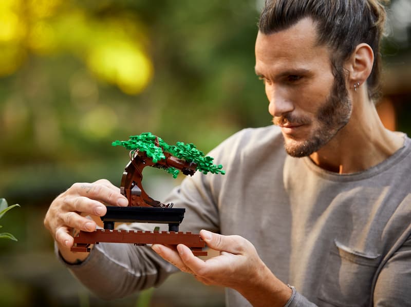 LEGO 10281 BOTANICALS - Albero Bonsai