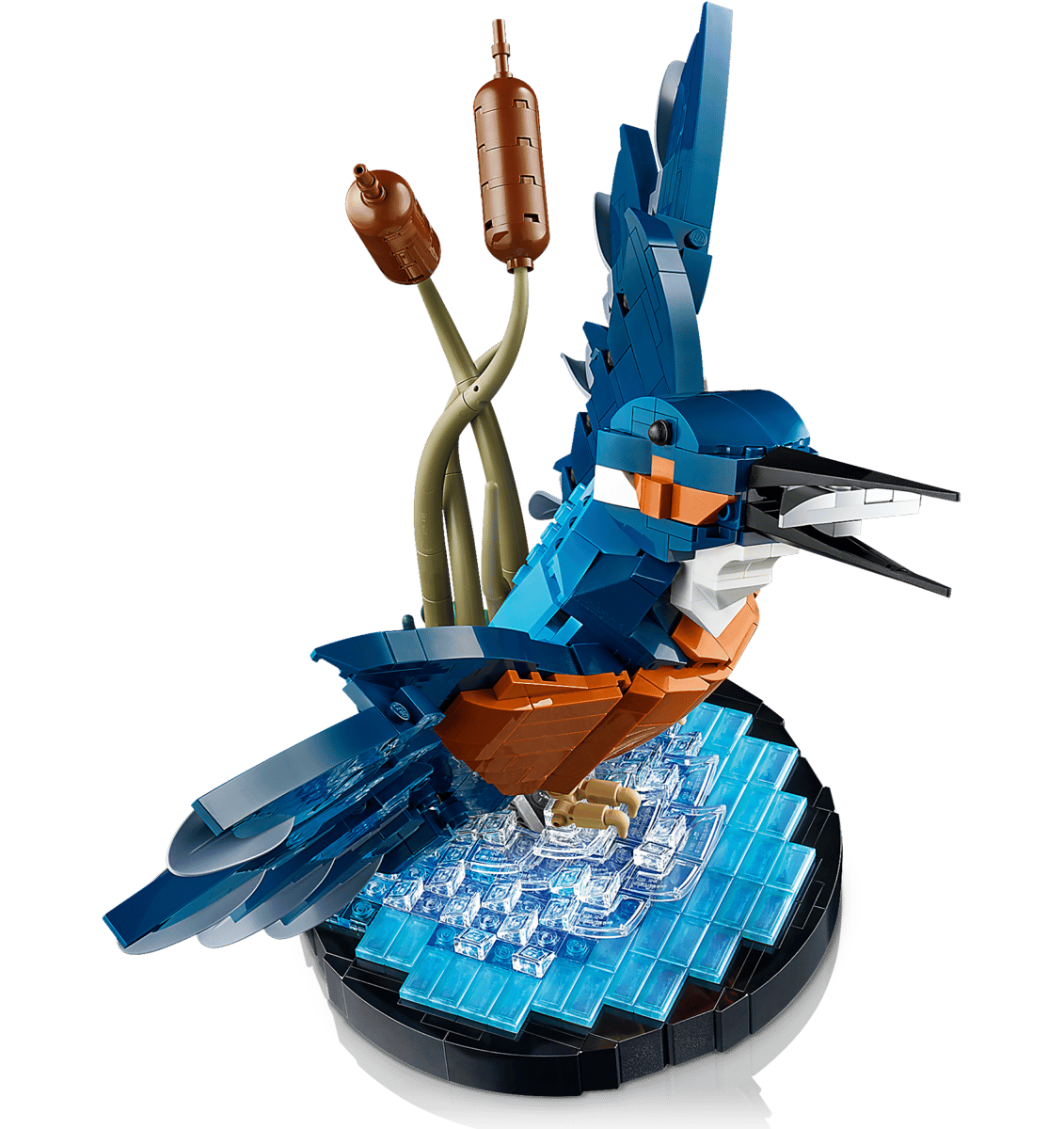 LEGO 10331 ICONS - Martin pescatore