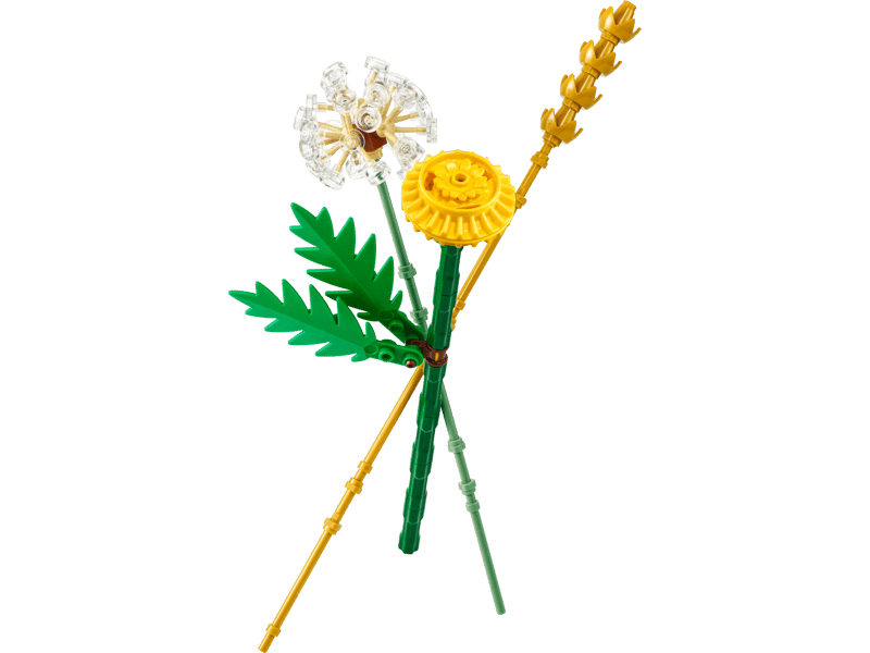 LEGO 30701 BOTANICALS - Fiori di campo