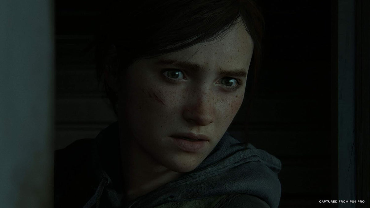The Last of Us 2 - Special Edition - PlayStation 4 (USATO)