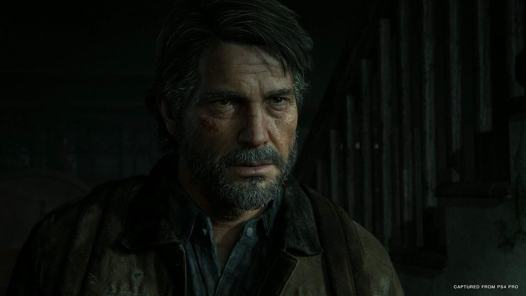 The Last of Us 2 - Special Edition - PlayStation 4 (USATO)