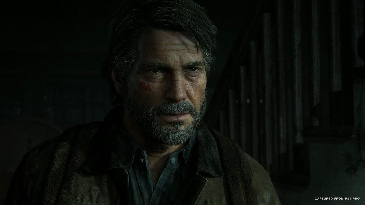 The Last of Us 2 - Special Edition - PlayStation 4 (USATO)