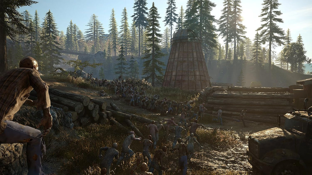 Days Gone  - PlayStation 4 (USATO)