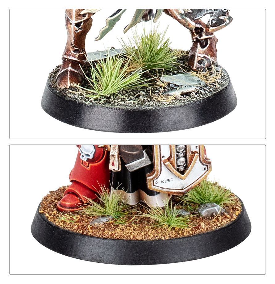 Zolle Verdia Veldt Warhammer Colour