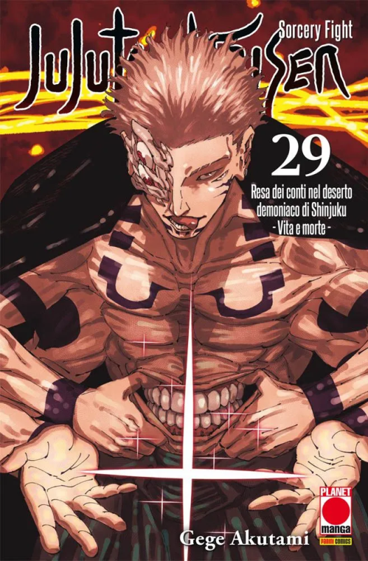 [PREORDER] Jujutsu Kaisen 29
